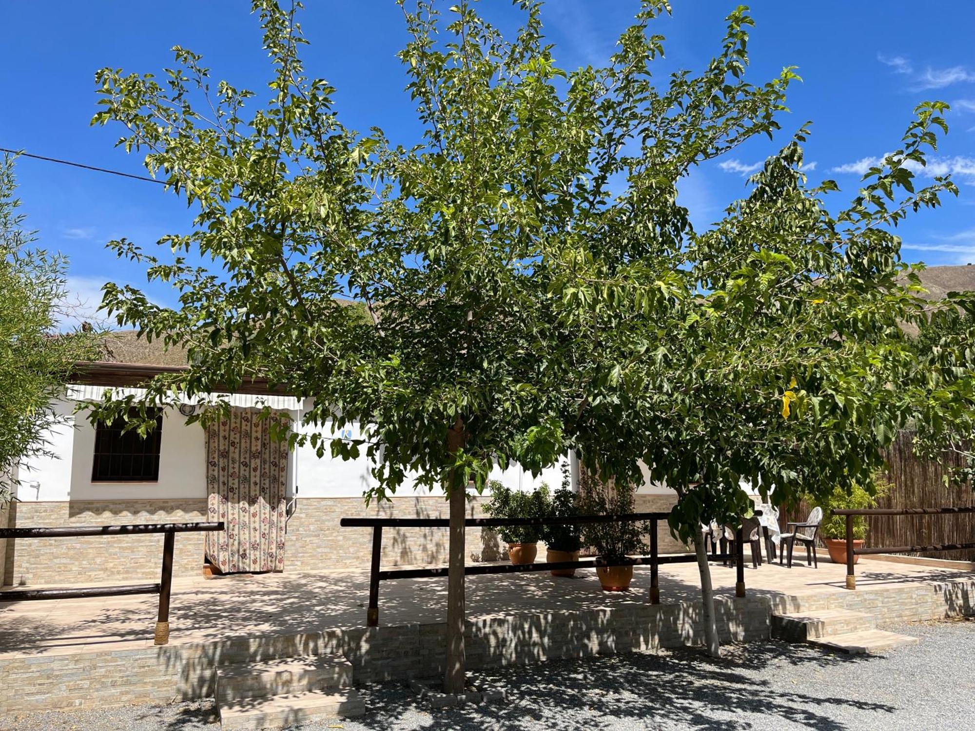 Cortijo Cahorros Sierra Nevada Country house *